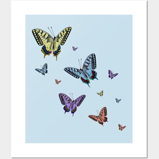 Colorful Butterflies Posters and Art